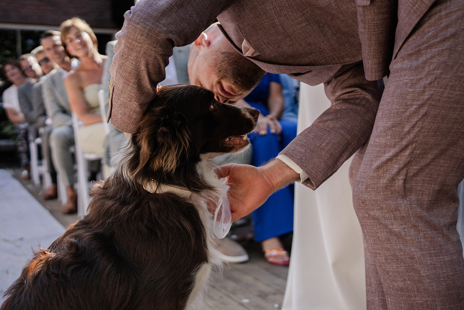 Hond brengt de ringen