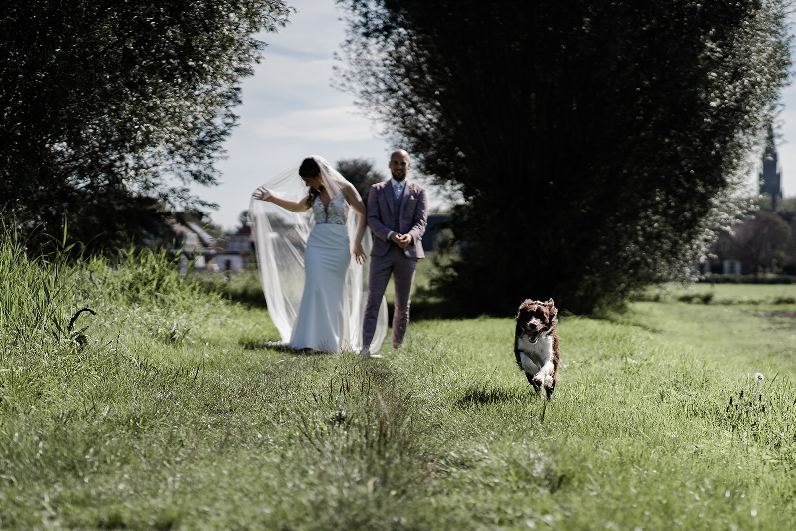 Hond rent weg van bruidspaar